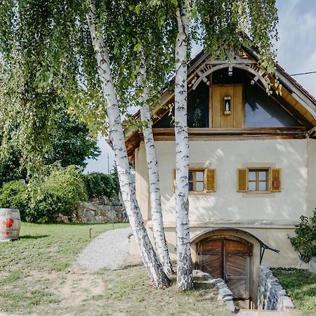 Wein Cottage Kellerstoeckl Eisenberg an der Pinka Esterno foto