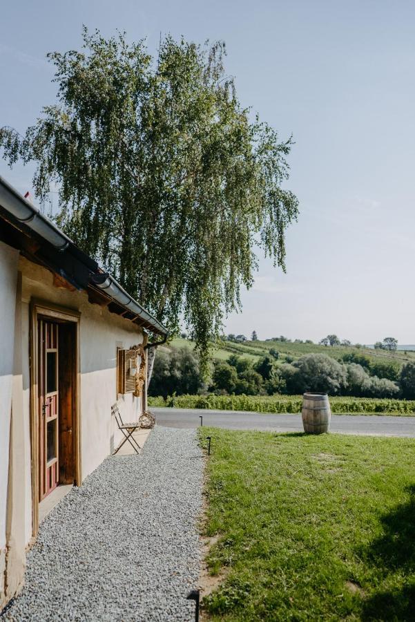 Wein Cottage Kellerstoeckl Eisenberg an der Pinka Esterno foto